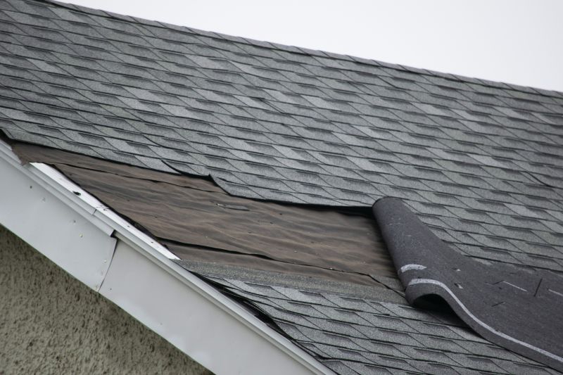 Asphalt Shingle Repair Process
