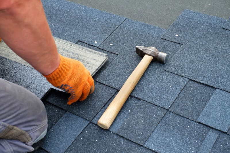 Preventive Shingle Maintenance